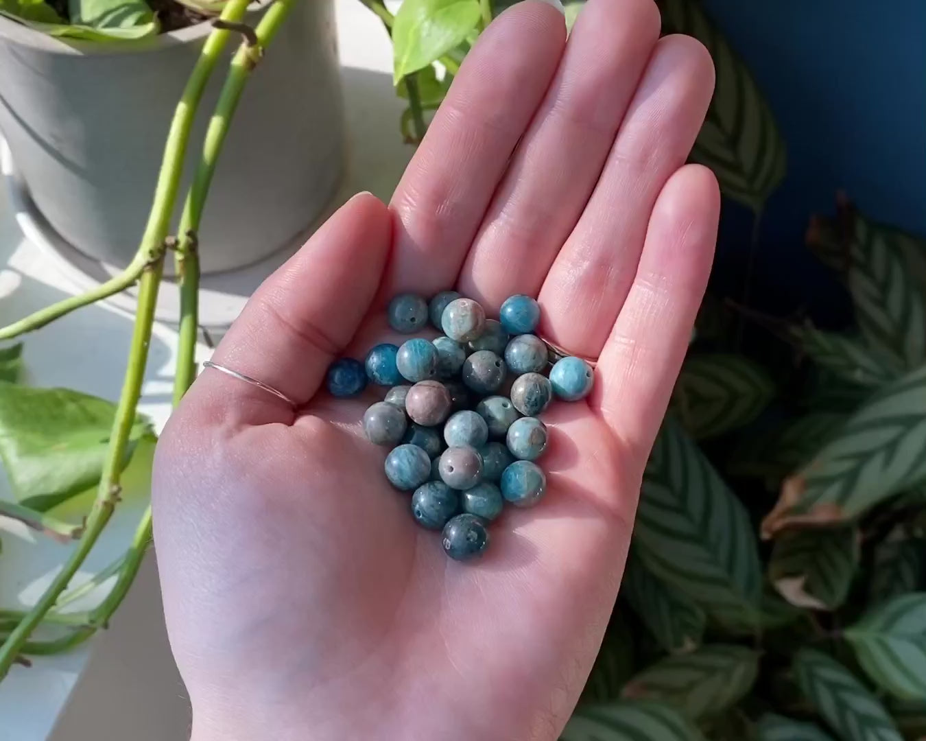Botswana Agate, Labradorite, Apatite + Conch Shell Bracelets