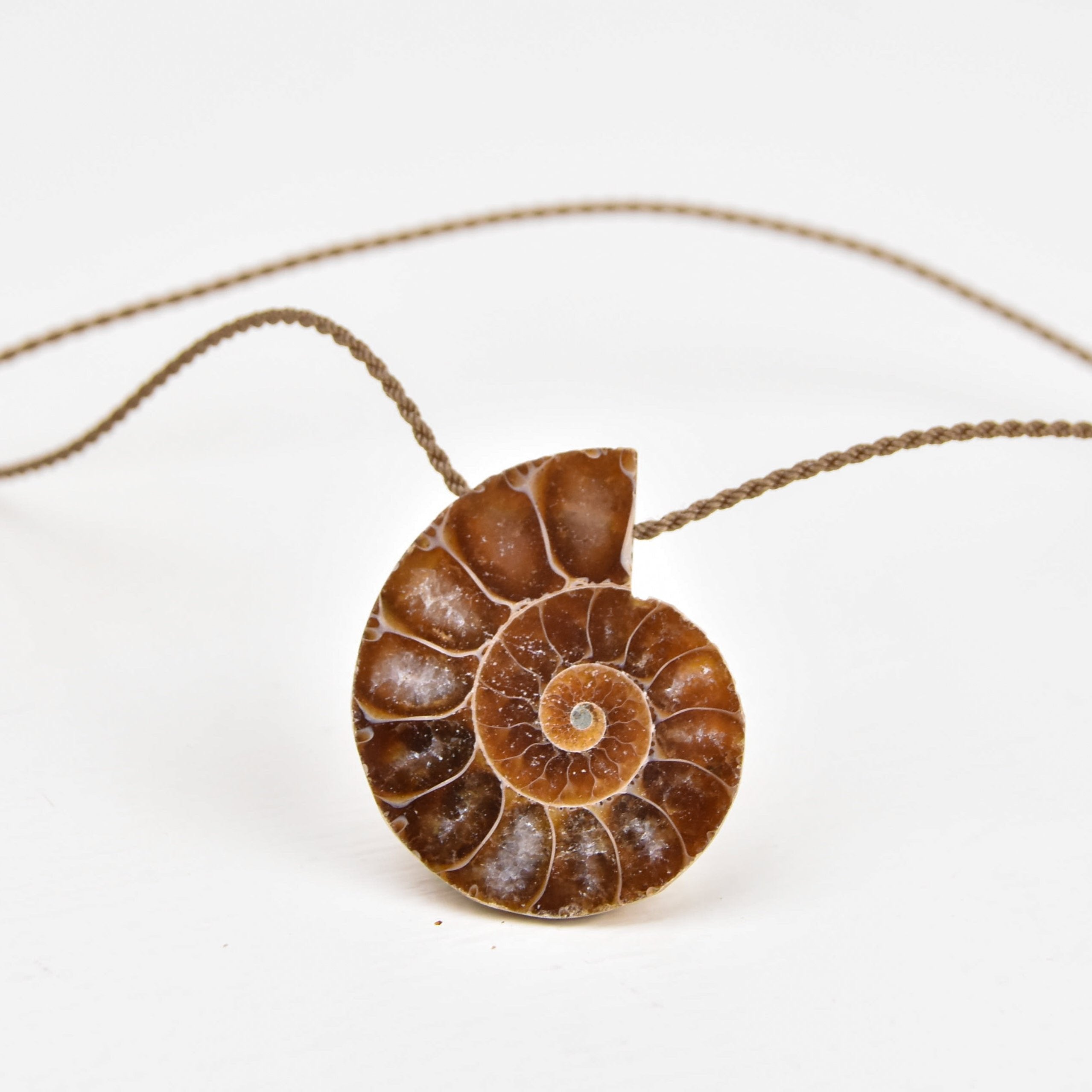 Pendant-0721-Ammonite Fossil