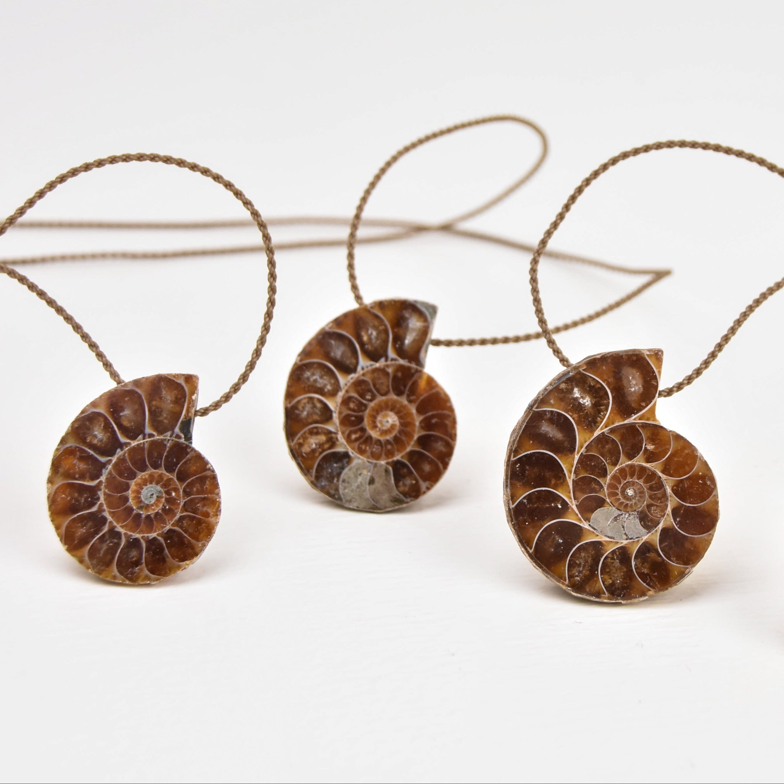 Ammonite Fossil Pendant