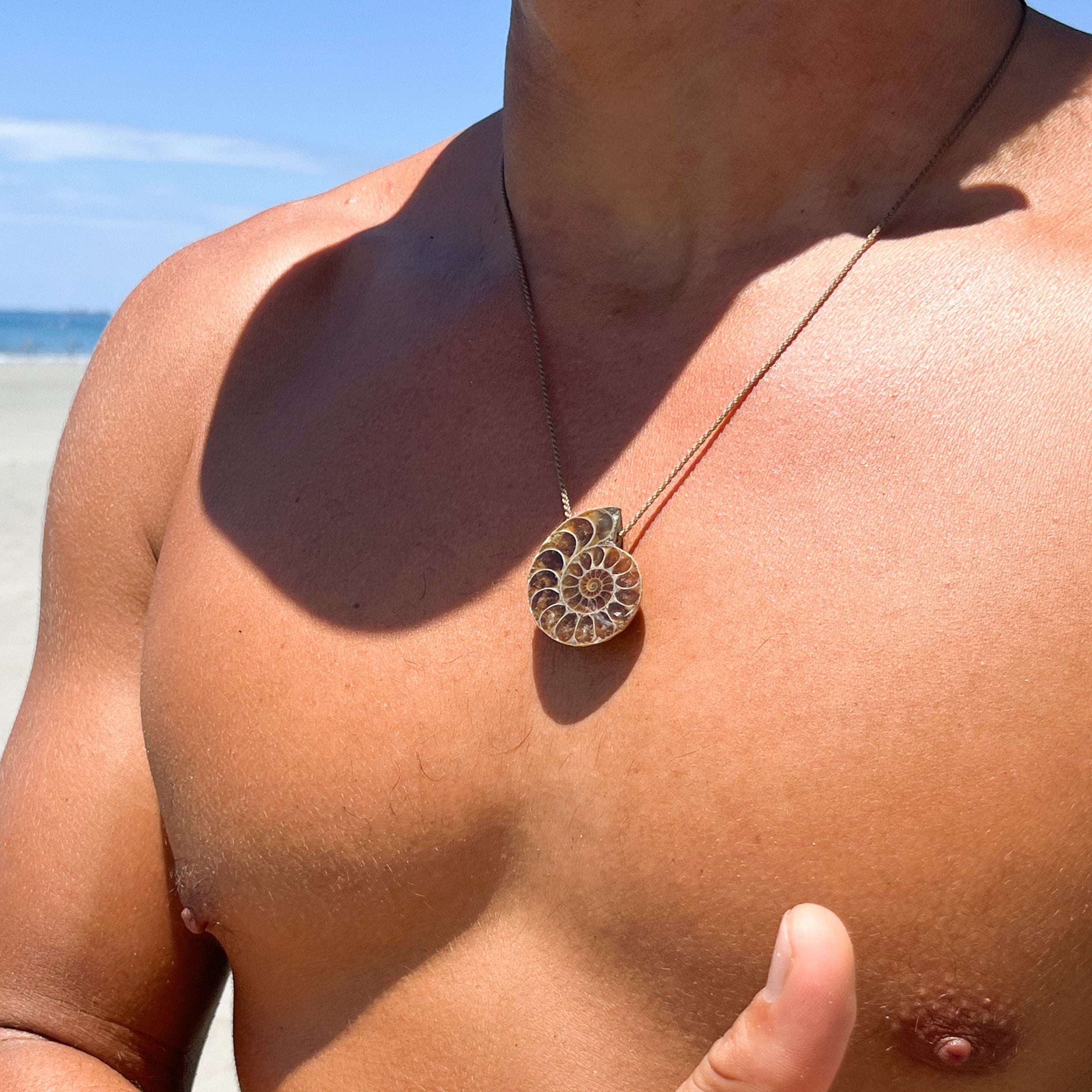 Ammonite Fossil Pendant