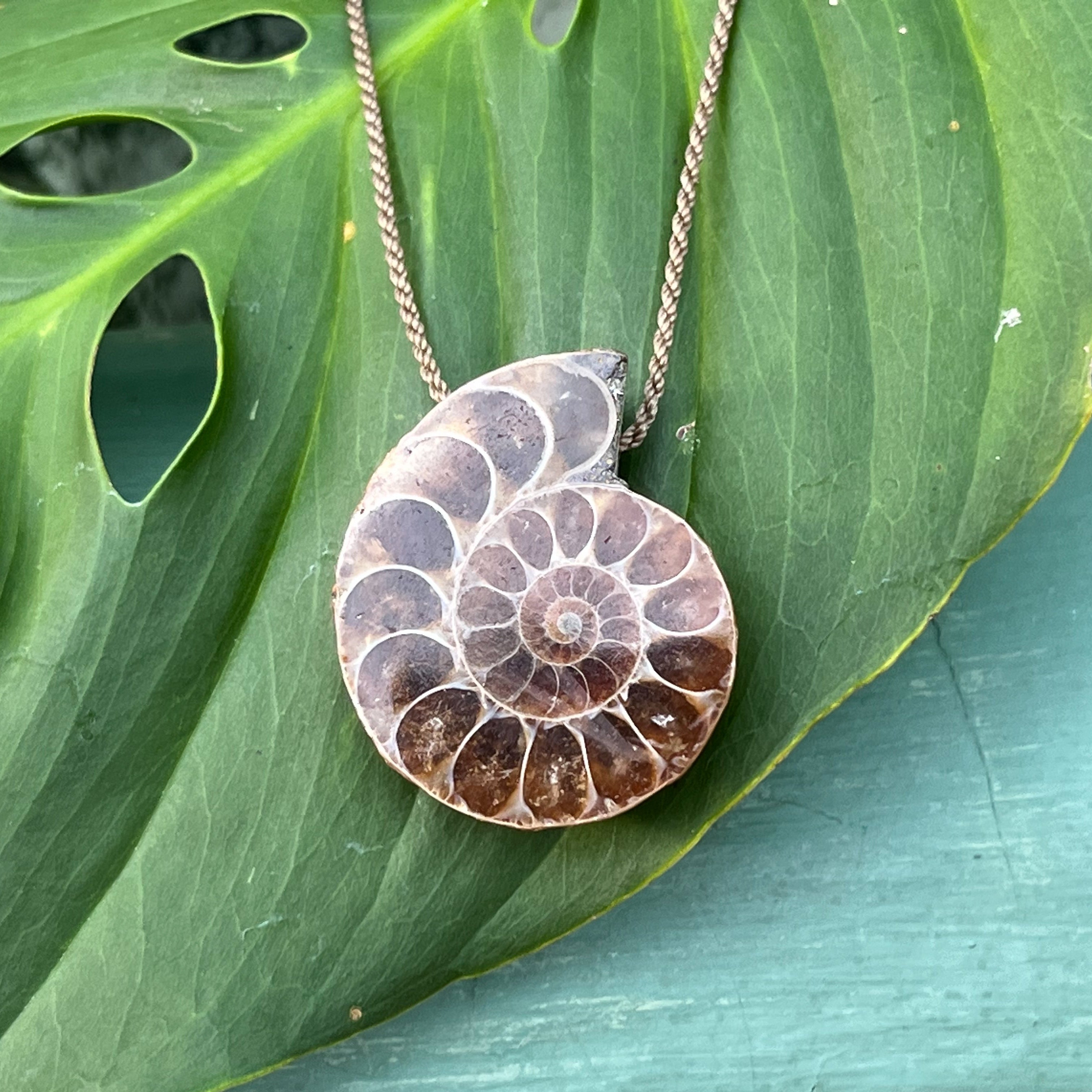 Ammonite Fossil Pendant