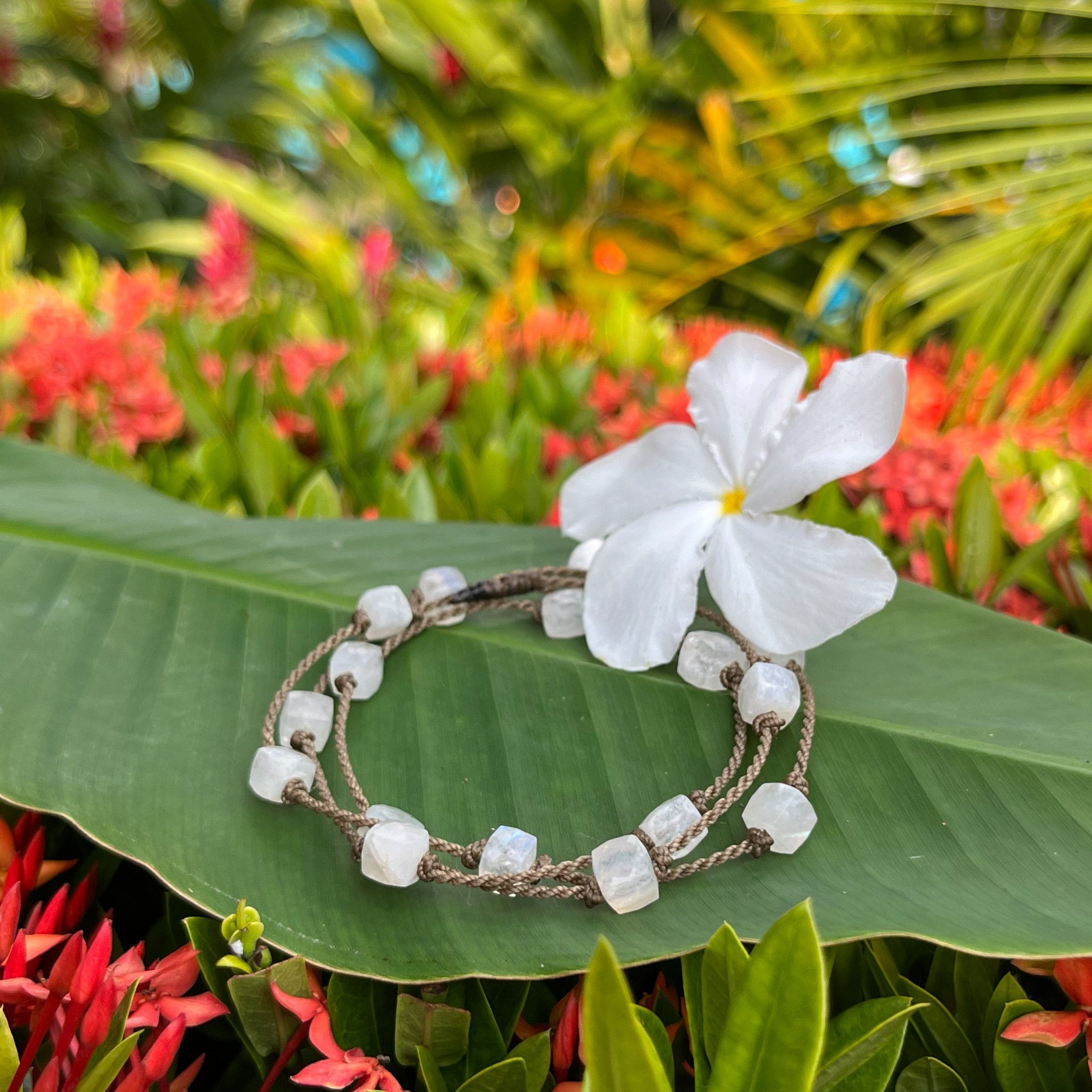 Wrap-0125-Moonstone Cube Petite