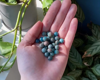Botswana Agate, Labradorite, Apatite + Conch Shell Bracelets