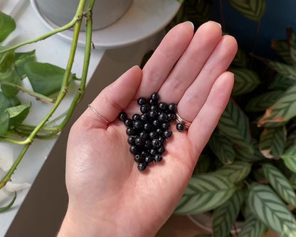 Black Stones Bracelets