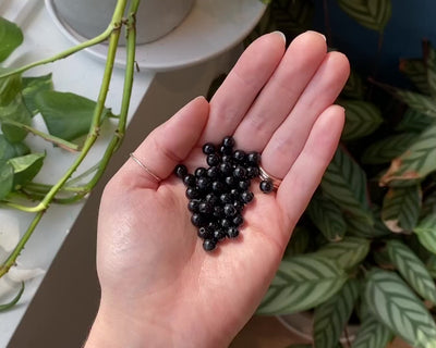 Black Stones Bracelets