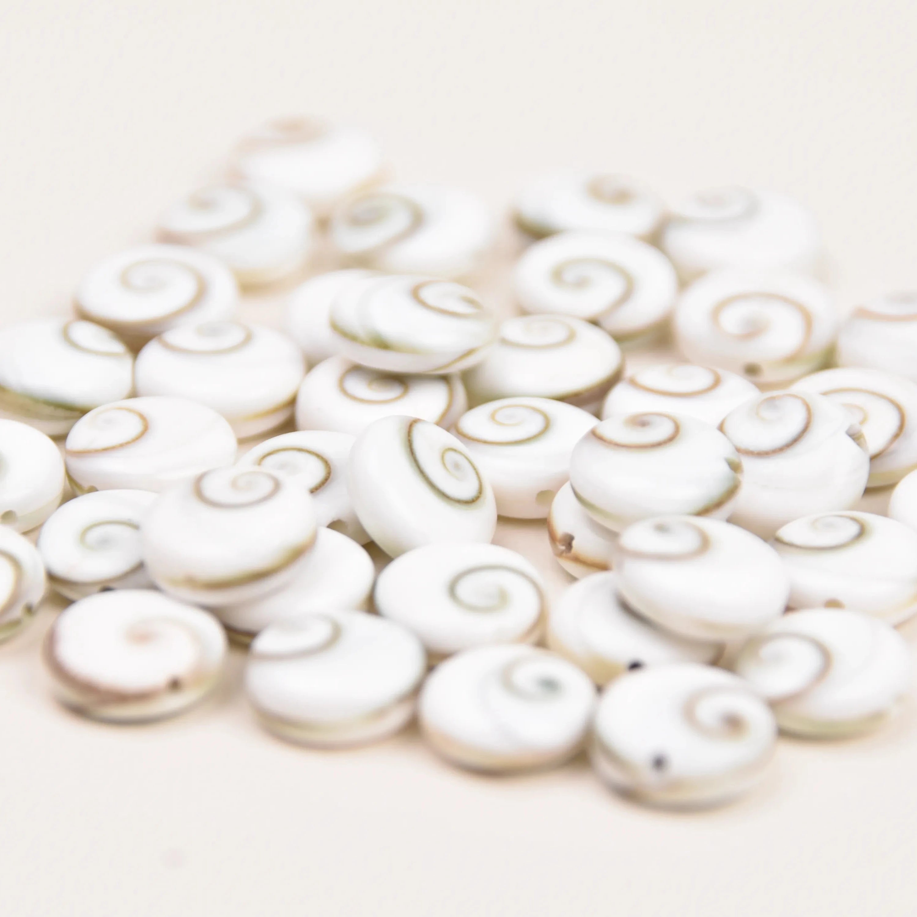 Shiva Shell Bracelet