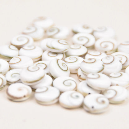 Shiva Shell Bracelet