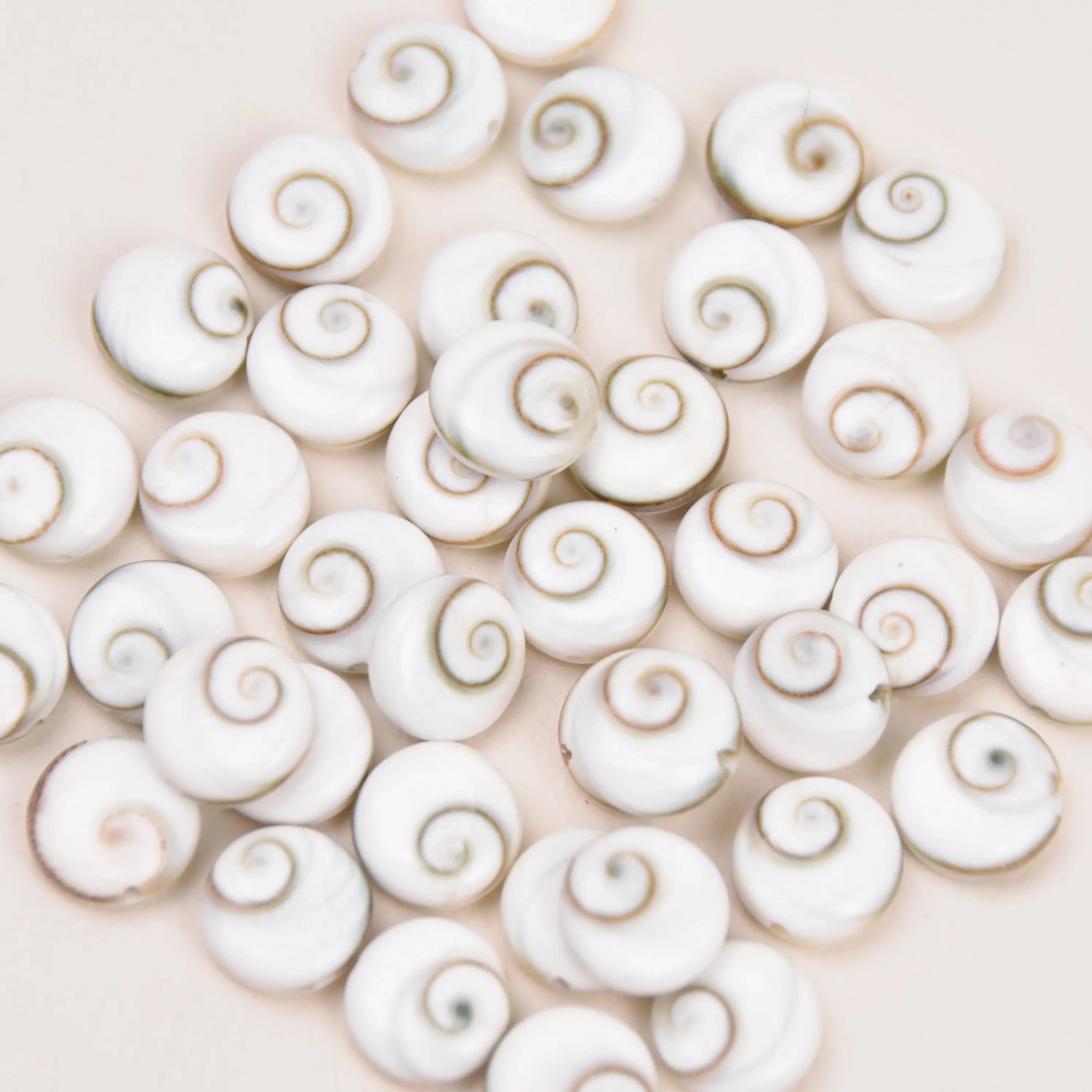 Shiva Shell Anklets