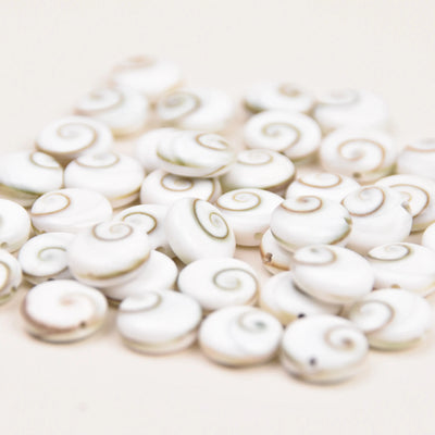 Shiva Shell Bracelet